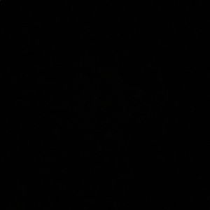 Meet your Posher, Alice